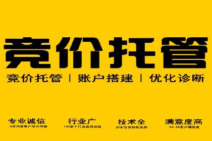 案例分享：托管SEM竞价在旅游行业的应用